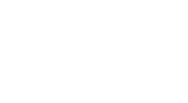 Rise Travel